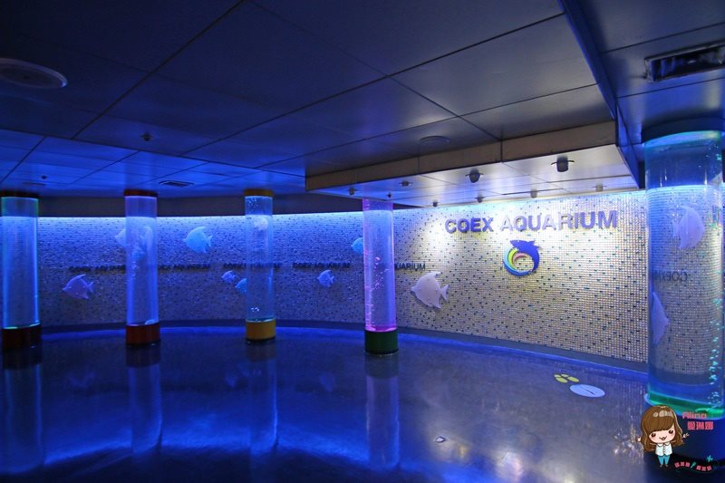 COEX水族館