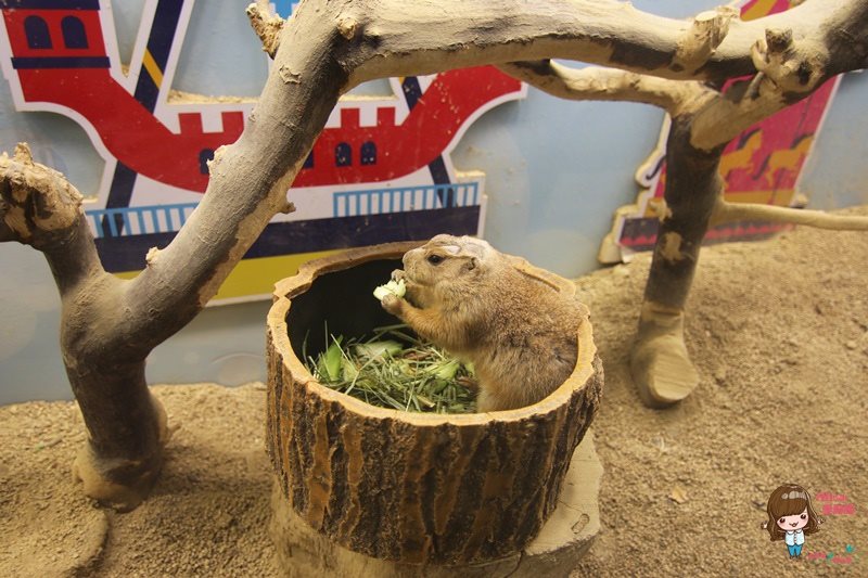 COEX水族館