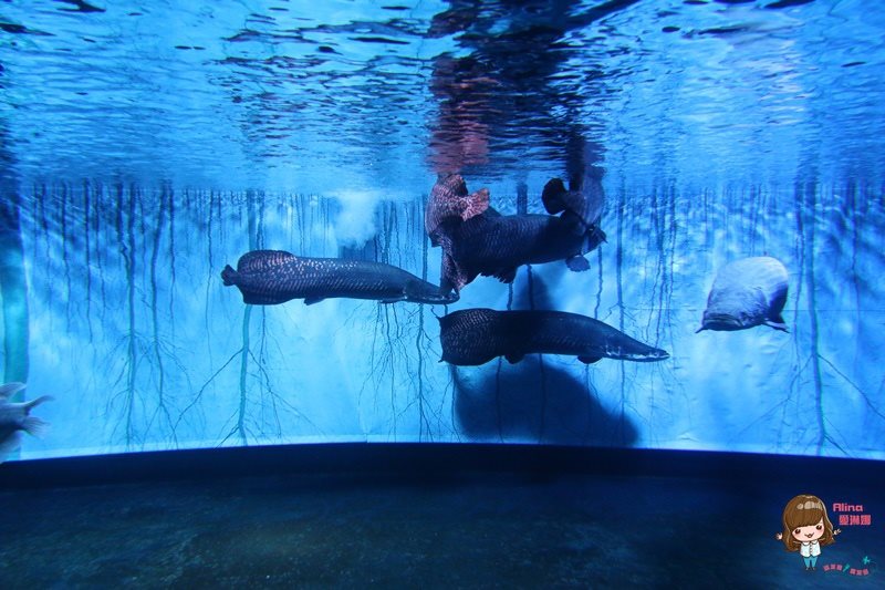 COEX水族館