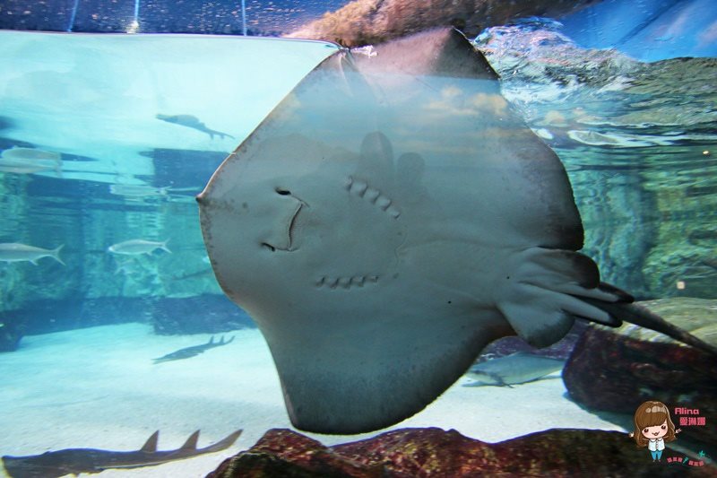 COEX水族館