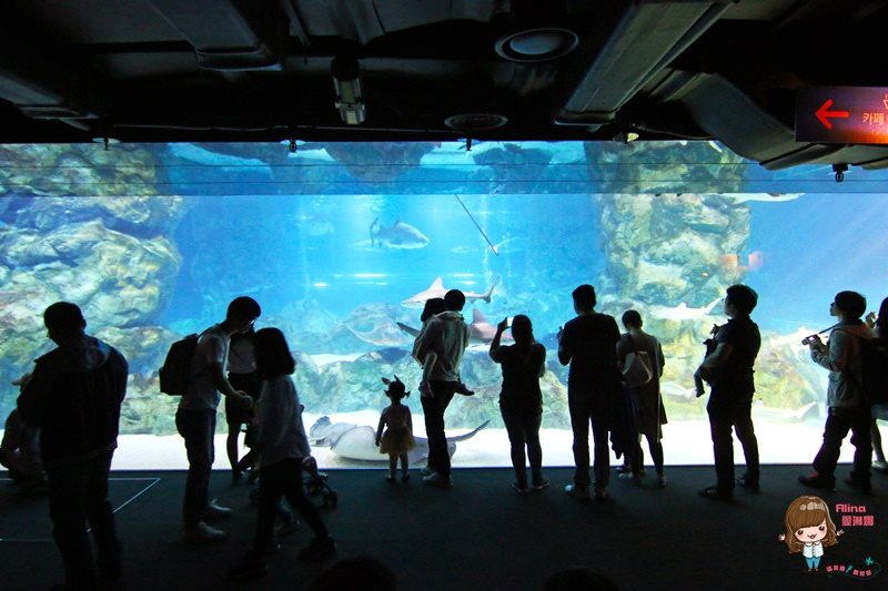 COEX水族館