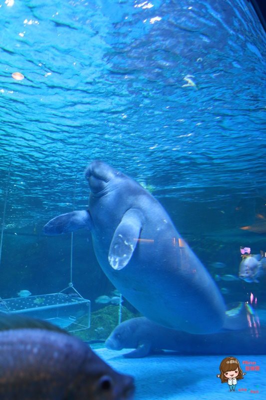 COEX水族館