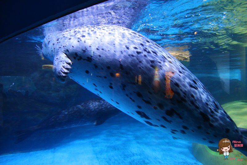 COEX水族館
