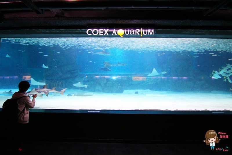 COEX水族館