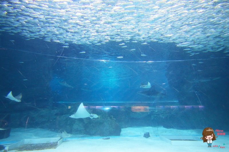 COEX水族館