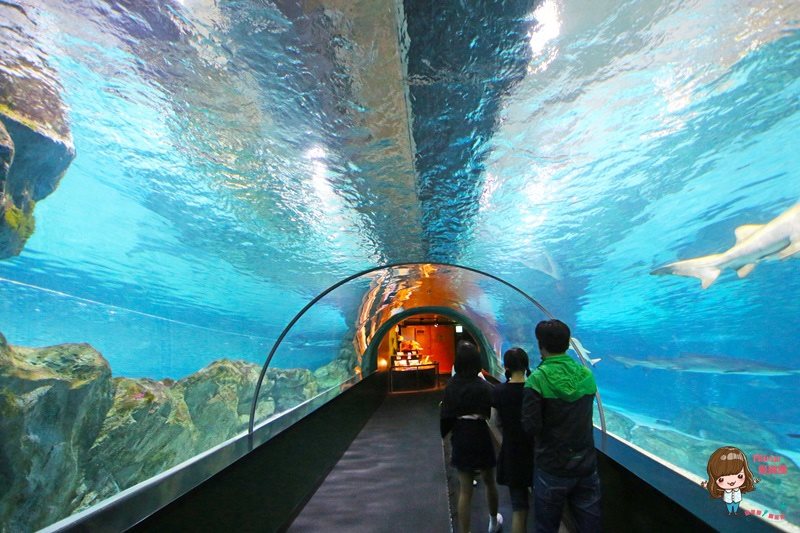 COEX水族館