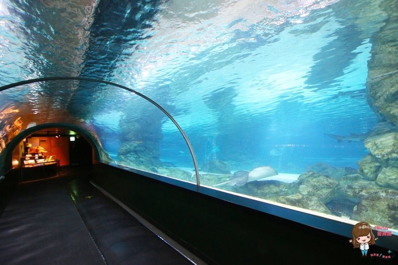 COEX水族館