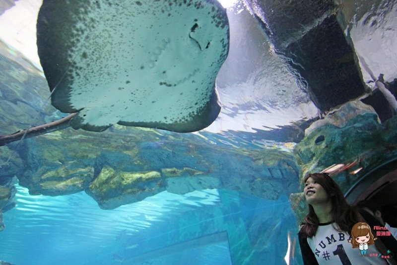 COEX水族館