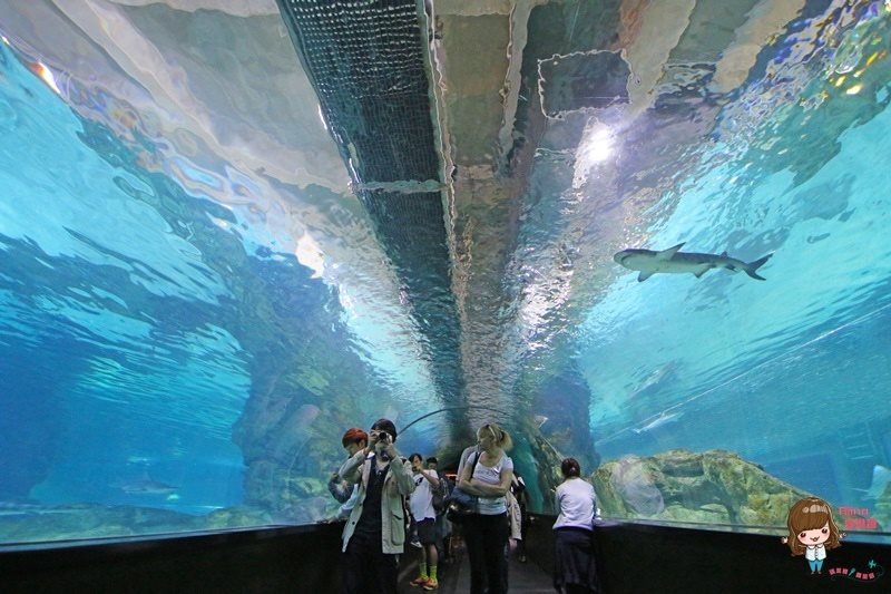 COEX水族館