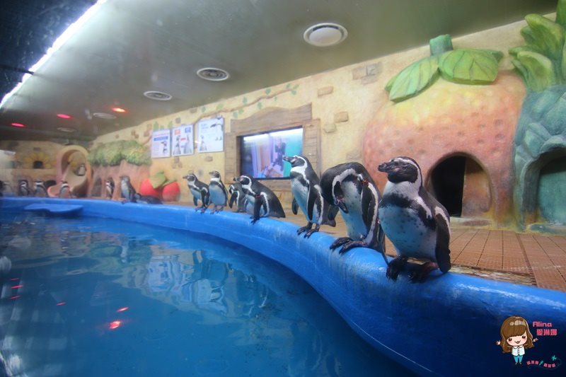 COEX水族館