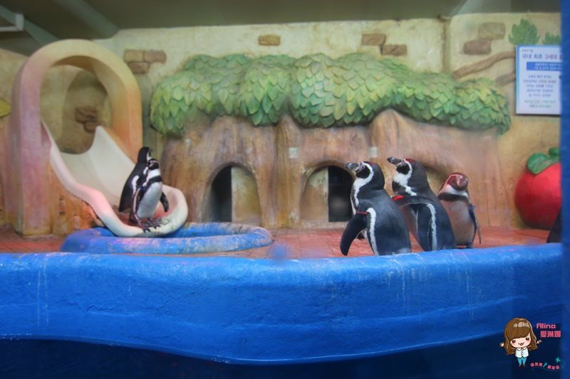 COEX水族館