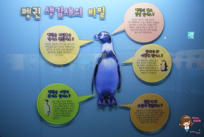 COEX水族館