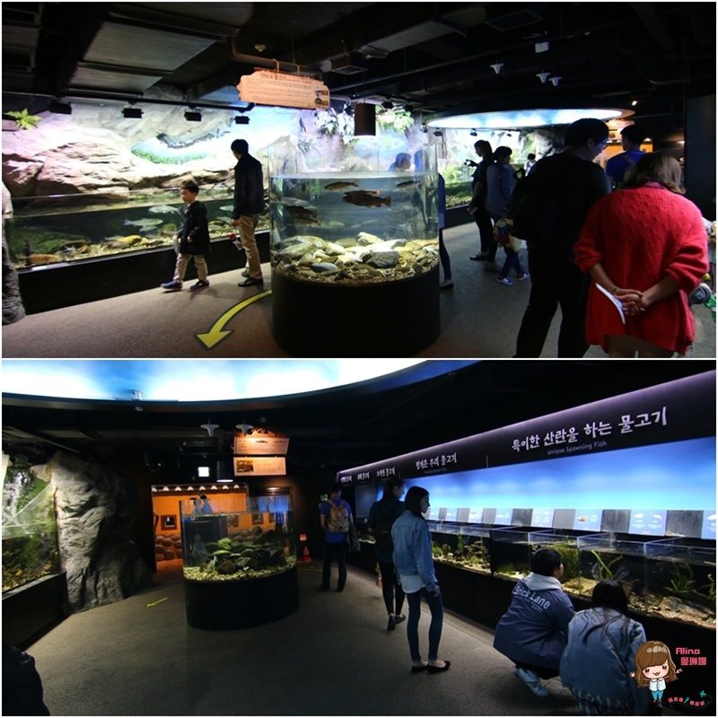 COEX水族館