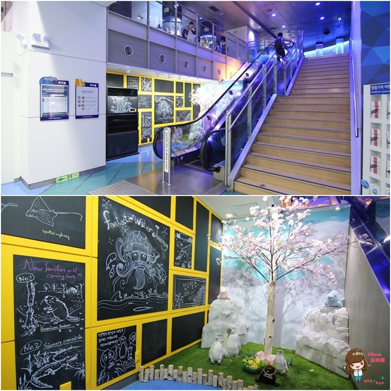 COEX水族館