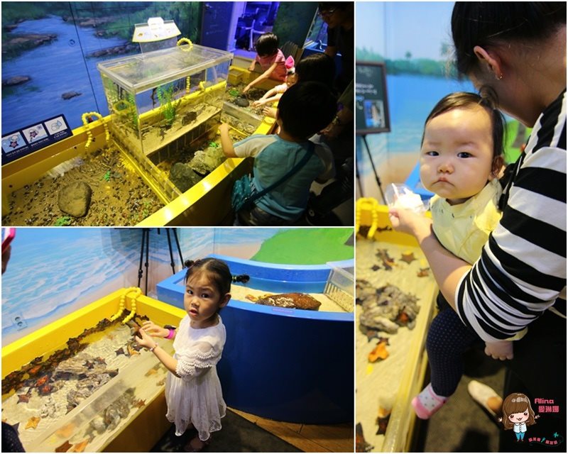 COEX水族館
