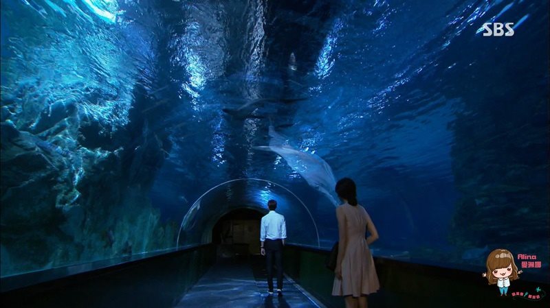 COEX水族館