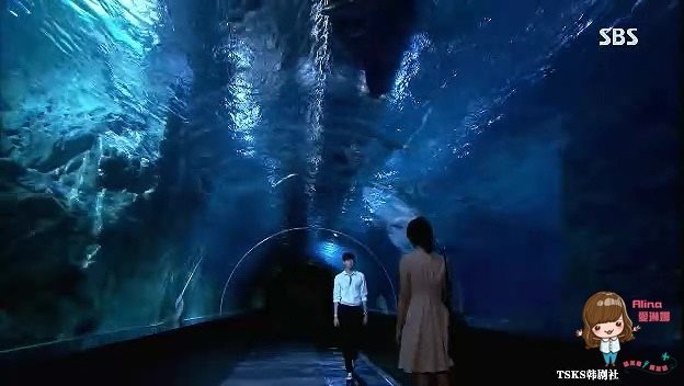COEX水族館