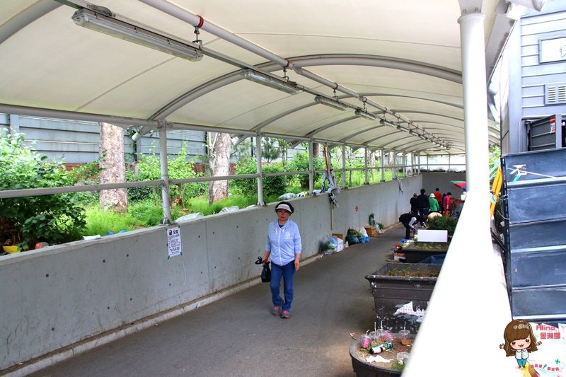 【首爾美食】鷺梁津水產市場皇帝食堂料理|長腳蟹龍蝦炒飯必吃 @Alina 愛琳娜 【首爾美食】鷺梁津水產市場皇帝食堂料理|長腳蟹龍蝦炒飯必吃 @Alina 愛琳娜