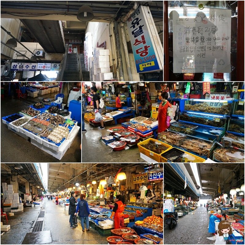 【首爾美食】鷺梁津水產市場皇帝食堂料理|長腳蟹龍蝦炒飯必吃 @Alina 愛琳娜 【首爾美食】鷺梁津水產市場皇帝食堂料理|長腳蟹龍蝦炒飯必吃 @Alina 愛琳娜