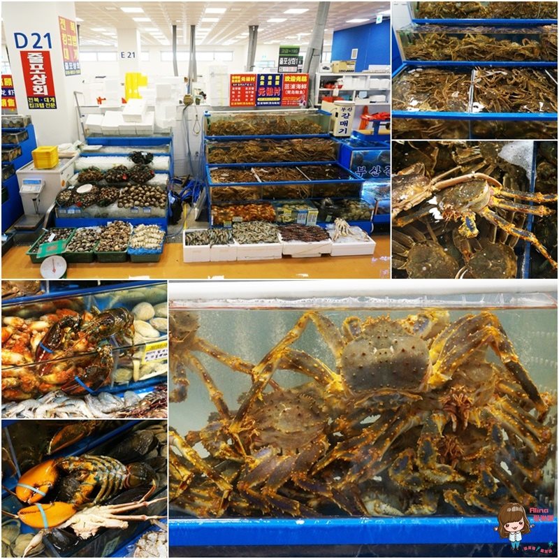 【首爾美食】鷺梁津水產市場皇帝食堂料理|長腳蟹龍蝦炒飯必吃 @Alina 愛琳娜 【首爾美食】鷺梁津水產市場皇帝食堂料理|長腳蟹龍蝦炒飯必吃 @Alina 愛琳娜