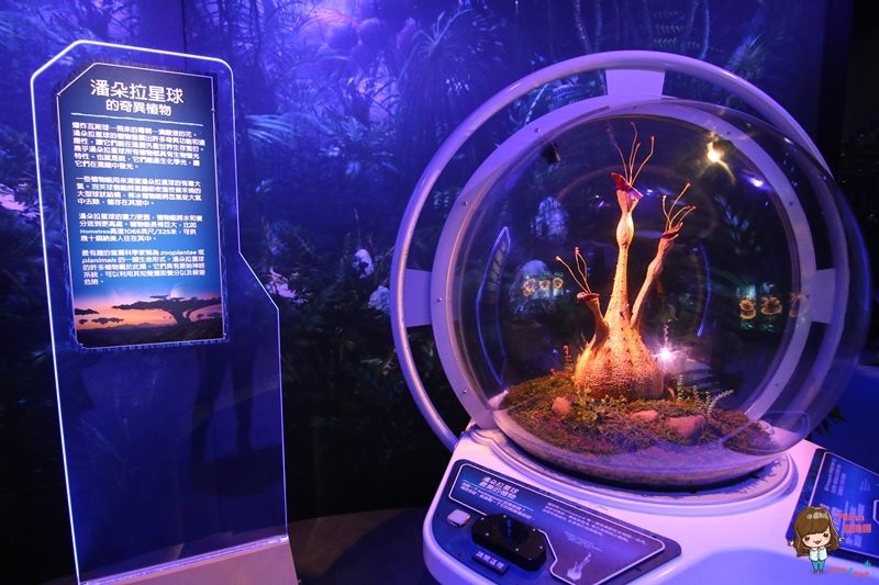 【台北展覽】阿凡達探索潘朵拉世界特展，詹姆士卡麥隆靈感打造 @Alina 愛琳娜