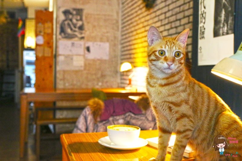 【花蓮咖啡】野花 Cafe Anthesis 文青咖啡館老宅復古懷舊風 @Alina 愛琳娜 【花蓮咖啡】野花 Cafe Anthesis 文青咖啡館老宅復古懷舊風 @Alina 愛琳娜
