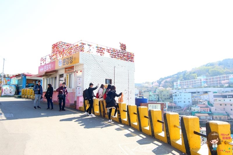 【釜山景點】甘川洞文化村-公車地圖交通路線,小王子彩繪壁畫村 @Alina 愛琳娜