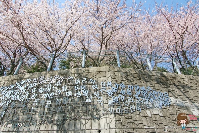 【釜山景點】甘川洞文化村-公車地圖交通路線,小王子彩繪壁畫村 @Alina 愛琳娜