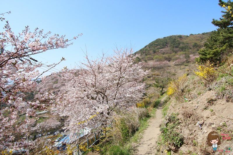 【釜山景點】甘川洞文化村-公車地圖交通路線,小王子彩繪壁畫村 @Alina 愛琳娜