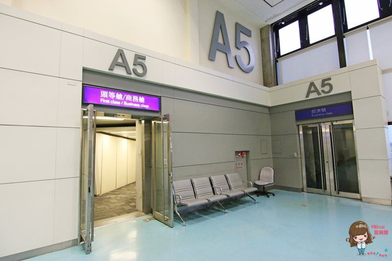 台灣虎航濟州島機票｜100分鐘直飛濟州島，早鳥機票優惠搶手 @Alina 愛琳娜