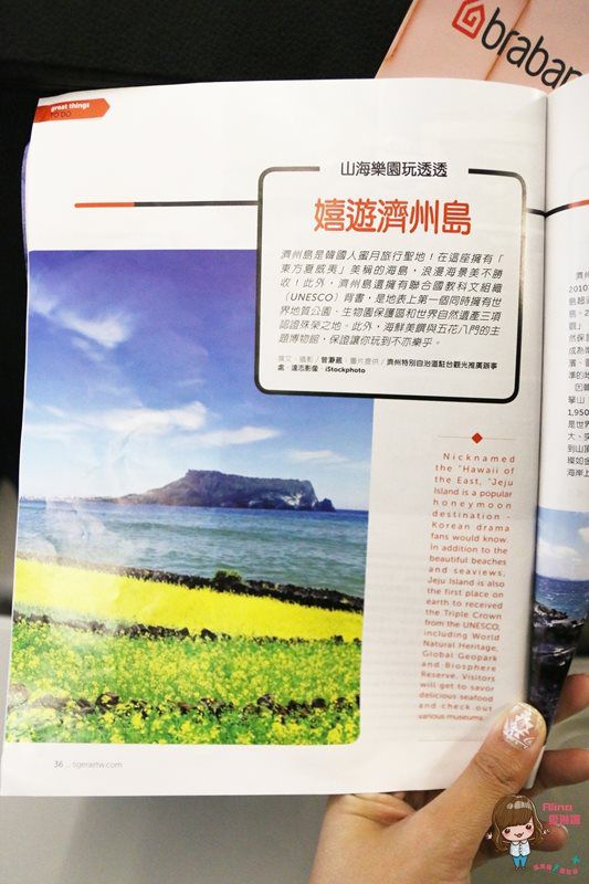 台灣虎航濟州島機票｜100分鐘直飛濟州島，早鳥機票優惠搶手 @Alina 愛琳娜