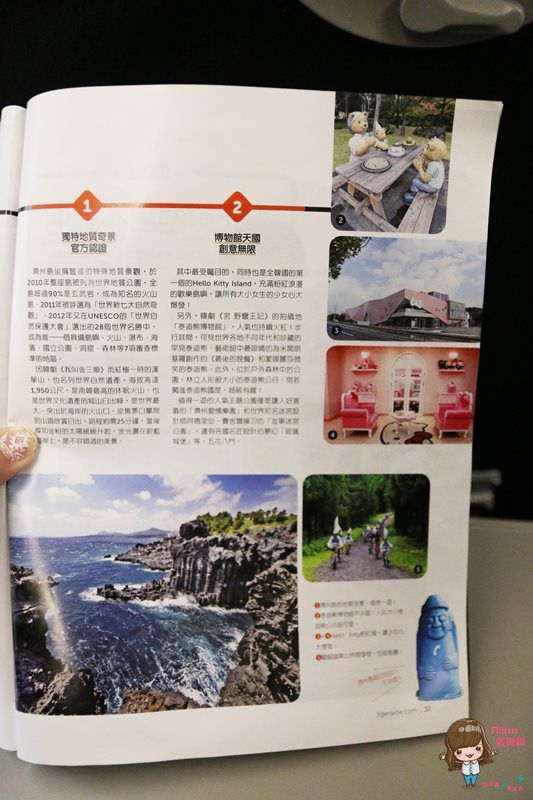 台灣虎航濟州島機票｜100分鐘直飛濟州島，早鳥機票優惠搶手 @Alina 愛琳娜