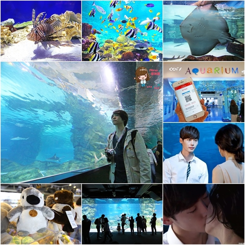 【首爾景點】三成 COEX水族館 AQUARIUM-韓劇聽見你的聲音 @Alina 愛琳娜