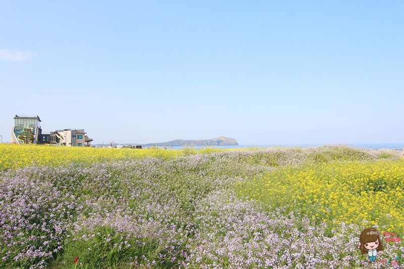 【濟州島咖啡館】AIYA Cafe 西歸浦城山日出峰 黑豬肉日出峰披薩 @Alina 愛琳娜