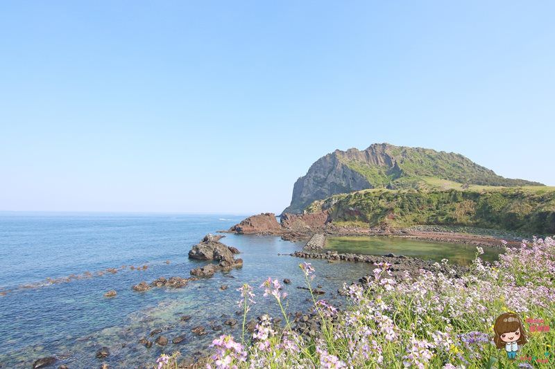 【濟州島咖啡館】AIYA Cafe 西歸浦城山日出峰 黑豬肉日出峰披薩 @Alina 愛琳娜