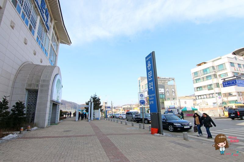 作夢的照相機咖啡館 Camera Cafe｜韓國京畿道熱門景點，首爾出發交通攻略 @Alina 愛琳娜