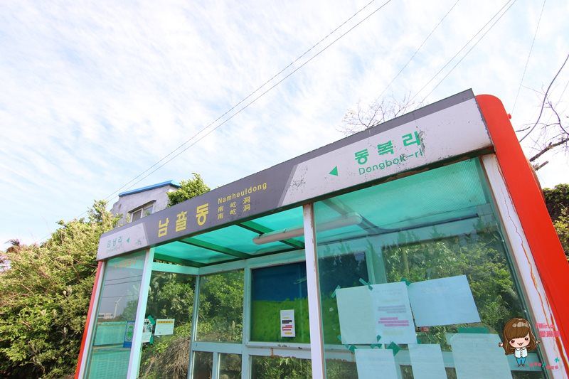 【濟州島咖啡館】金寧 濟州樂高咖啡廳 BRICKS JEJU 可愛的玩具積木 @Alina 愛琳娜 【濟州島咖啡館】金寧 濟州樂高咖啡廳 BRICKS JEJU 可愛的玩具積木 @Alina 愛琳娜
