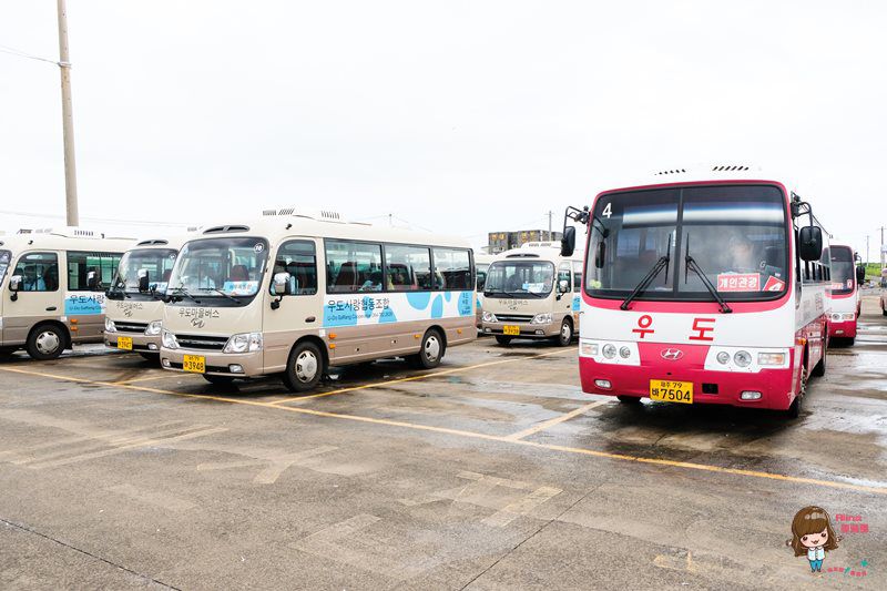 濟州島牛島攻略｜交通方式、搭船教學及島上觀光巴士路線輕鬆玩 @Alina 愛琳娜