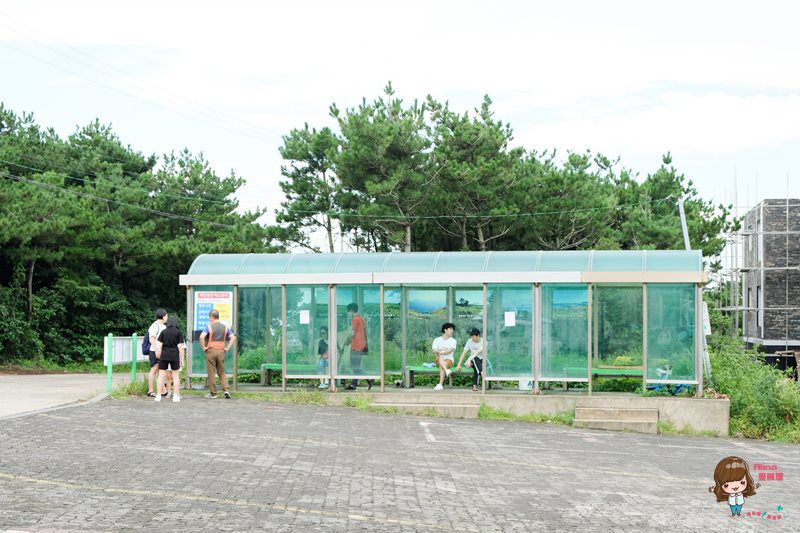 濟州島牛島攻略｜交通方式、搭船教學及島上觀光巴士路線輕鬆玩 @Alina 愛琳娜