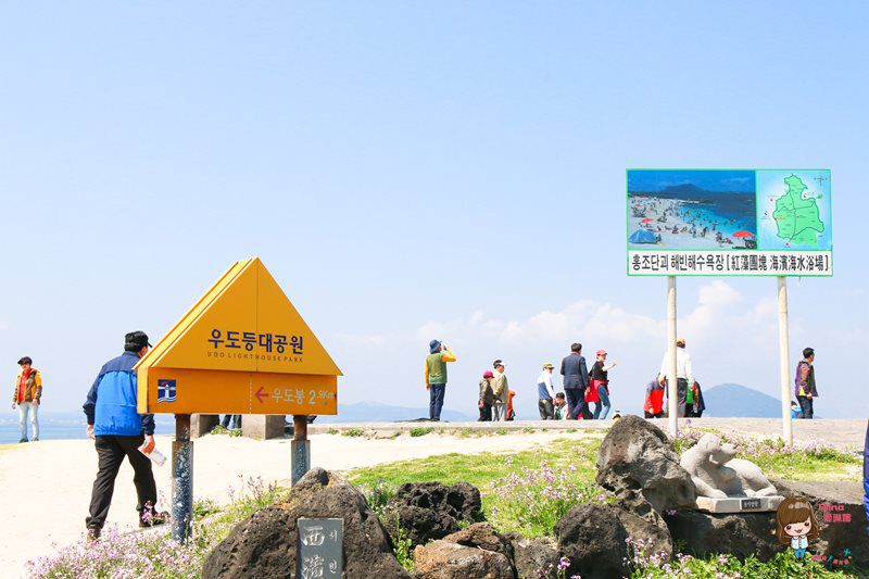 濟州島牛島攻略｜交通方式、搭船教學及島上觀光巴士路線輕鬆玩 @Alina 愛琳娜