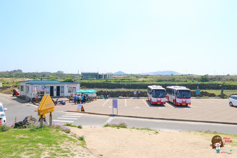 濟州島牛島攻略｜交通方式、搭船教學及島上觀光巴士路線輕鬆玩 @Alina 愛琳娜