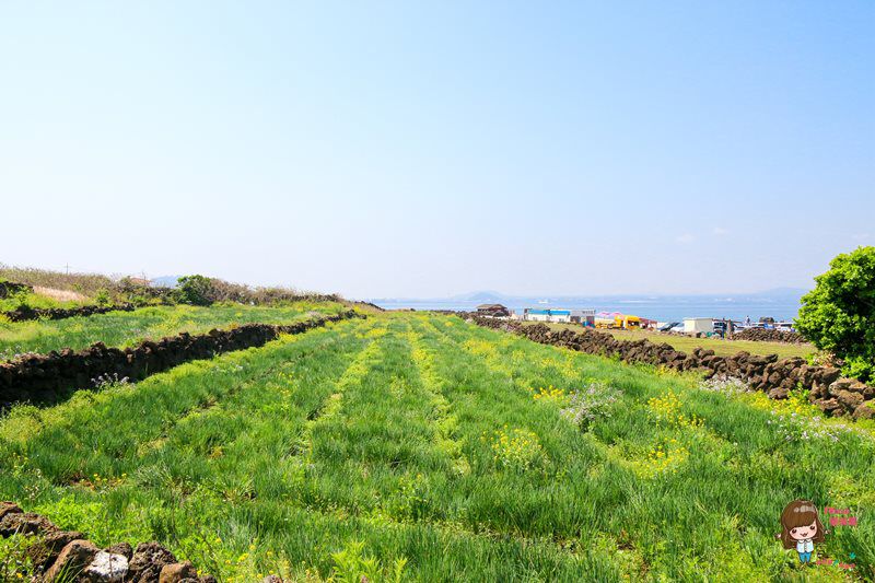 濟州島牛島攻略｜交通方式、搭船教學及島上觀光巴士路線輕鬆玩 @Alina 愛琳娜