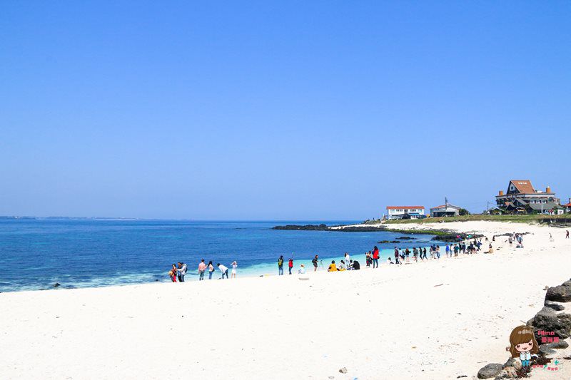 濟州島牛島攻略｜交通方式、搭船教學及島上觀光巴士路線輕鬆玩 @Alina 愛琳娜