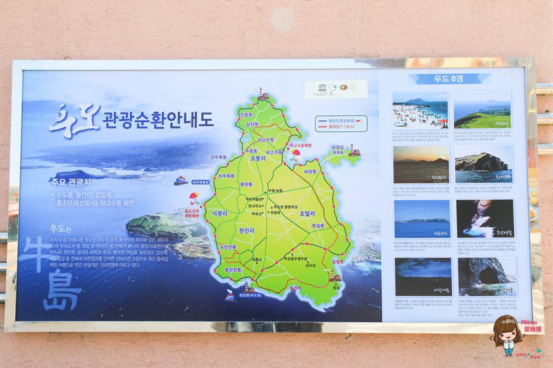 濟州島牛島攻略｜交通方式、搭船教學及島上觀光巴士路線輕鬆玩 @Alina 愛琳娜