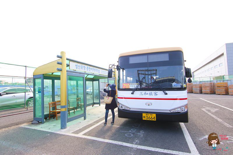 濟州島牛島攻略｜交通方式、搭船教學及島上觀光巴士路線輕鬆玩 @Alina 愛琳娜