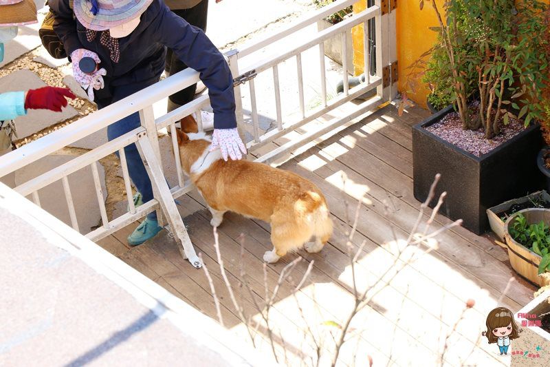 【濟州島咖啡館】涯月 Monsant 몽상드 海景玻璃屋咖啡廳 @Alina 愛琳娜