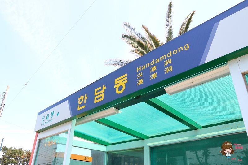 【濟州島交通】濟州島公車系統全新改編,教你怎麼坐快速又省錢 @Alina 愛琳娜