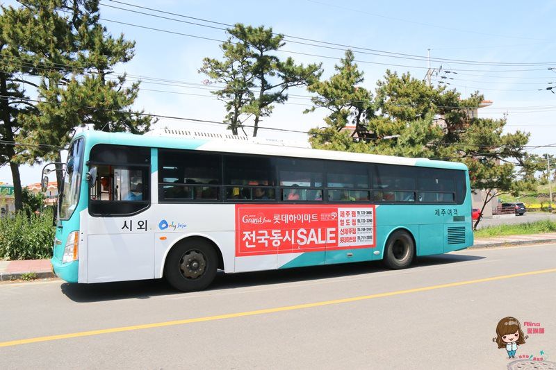 【濟州島交通】濟州島公車系統全新改編,教你怎麼坐快速又省錢 @Alina 愛琳娜 【濟州島交通】濟州島公車系統全新改編,教你怎麼坐快速又省錢 @Alina 愛琳娜