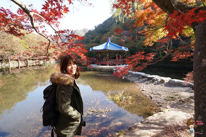 韓國內藏山國立公園楓葉｜一日遊交通推薦：瑰麗火紅楓葉美景 @Alina 愛琳娜