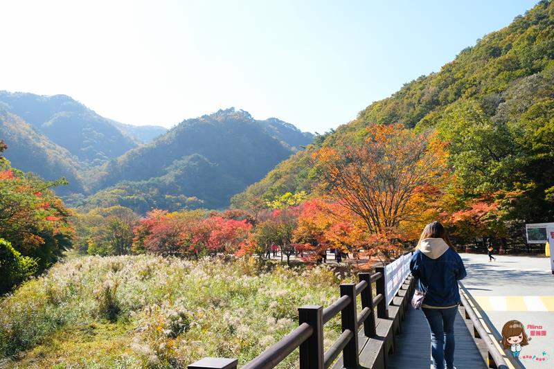 韓國內藏山國立公園楓葉｜一日遊交通推薦：瑰麗火紅楓葉美景 @Alina 愛琳娜